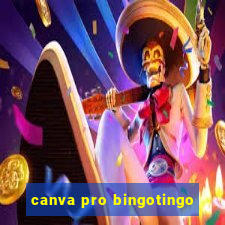 canva pro bingotingo